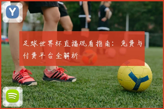 足球世界杯直播观看指南：免费与付费平台全解析