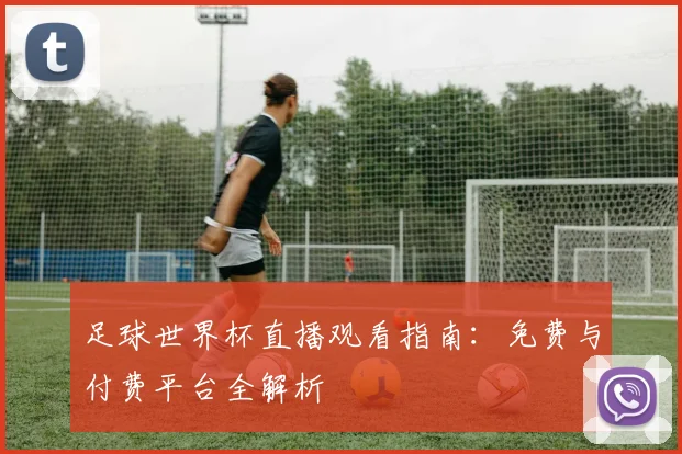 足球世界杯直播观看指南:免费与付费平台全解析