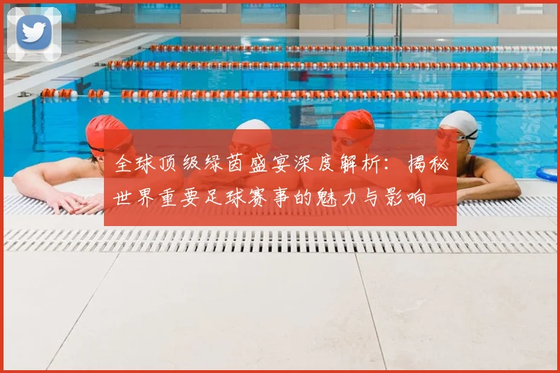 全球顶级绿茵盛宴深度解析:揭秘世界重要足球赛事的魅力与影响