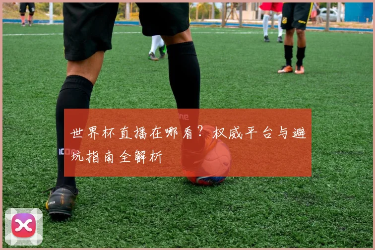世界杯直播在哪看？权威平台与避坑指南全解析